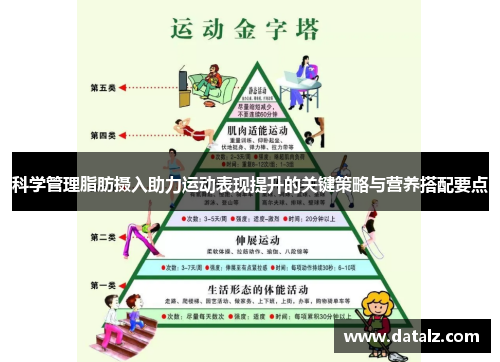 科学管理脂肪摄入助力运动表现提升的关键策略与营养搭配要点