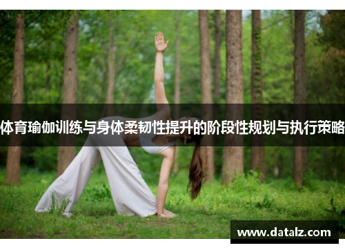 体育瑜伽训练与身体柔韧性提升的阶段性规划与执行策略