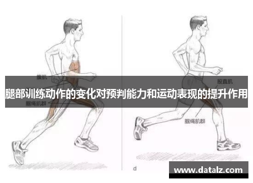 腿部训练动作的变化对预判能力和运动表现的提升作用